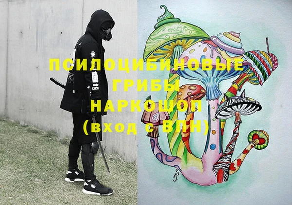 стаф Нея