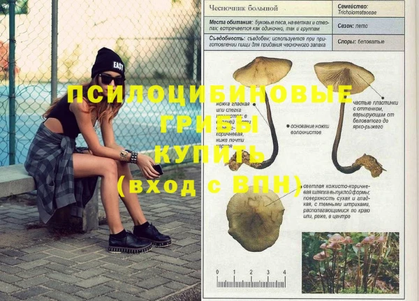 стаф Нея