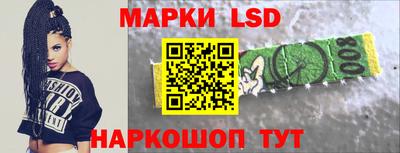 гидра Гатчина