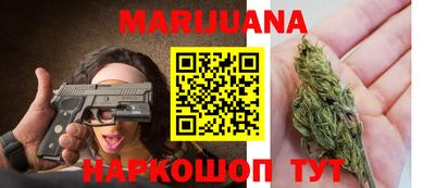 гидра Гатчина