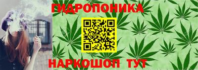 гидра Гатчина