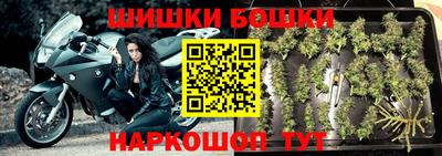 гидра Гатчина