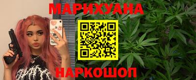 гидра Гатчина
