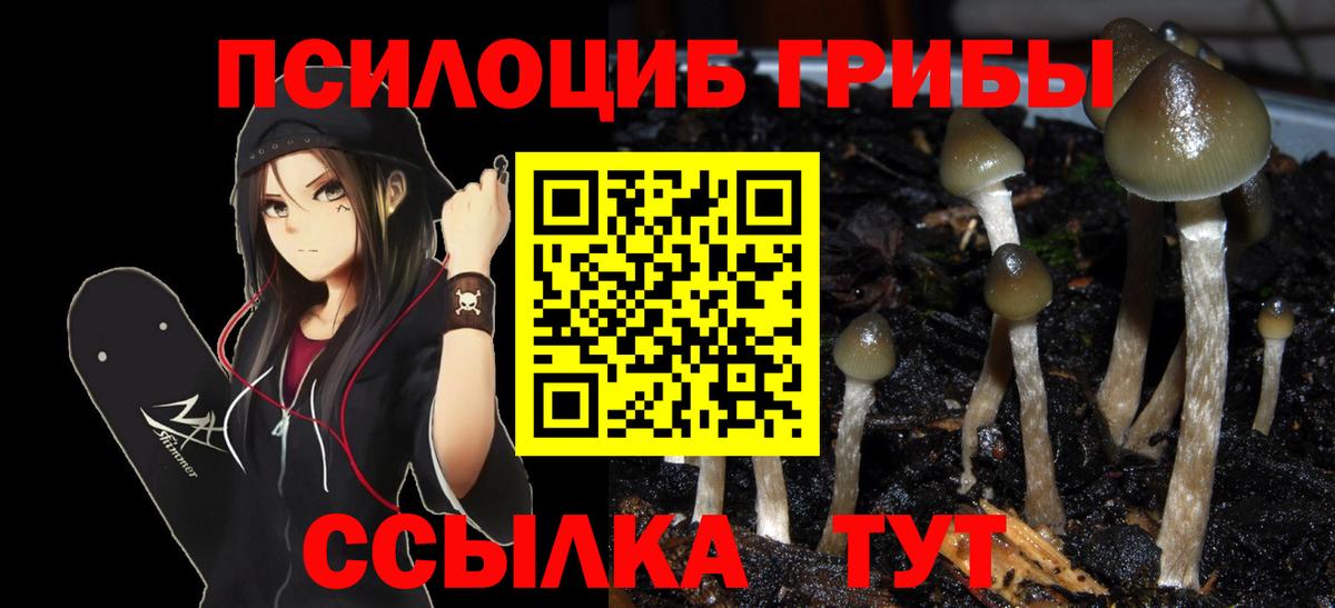 Галлюциногенные грибы Magic Shrooms Улан-Удэ