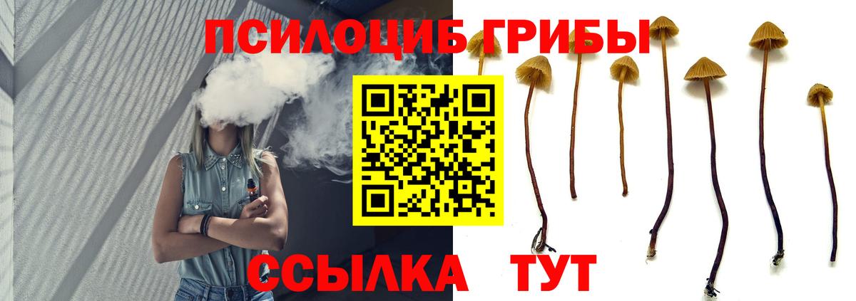 Псилоцибиновые грибы прущие грибы Улан-Удэ